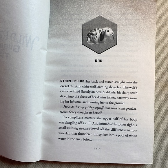 📚2/$6 Guardians of the Taiga #1 in the Wild Rescuers Series - Picture 10 of 12